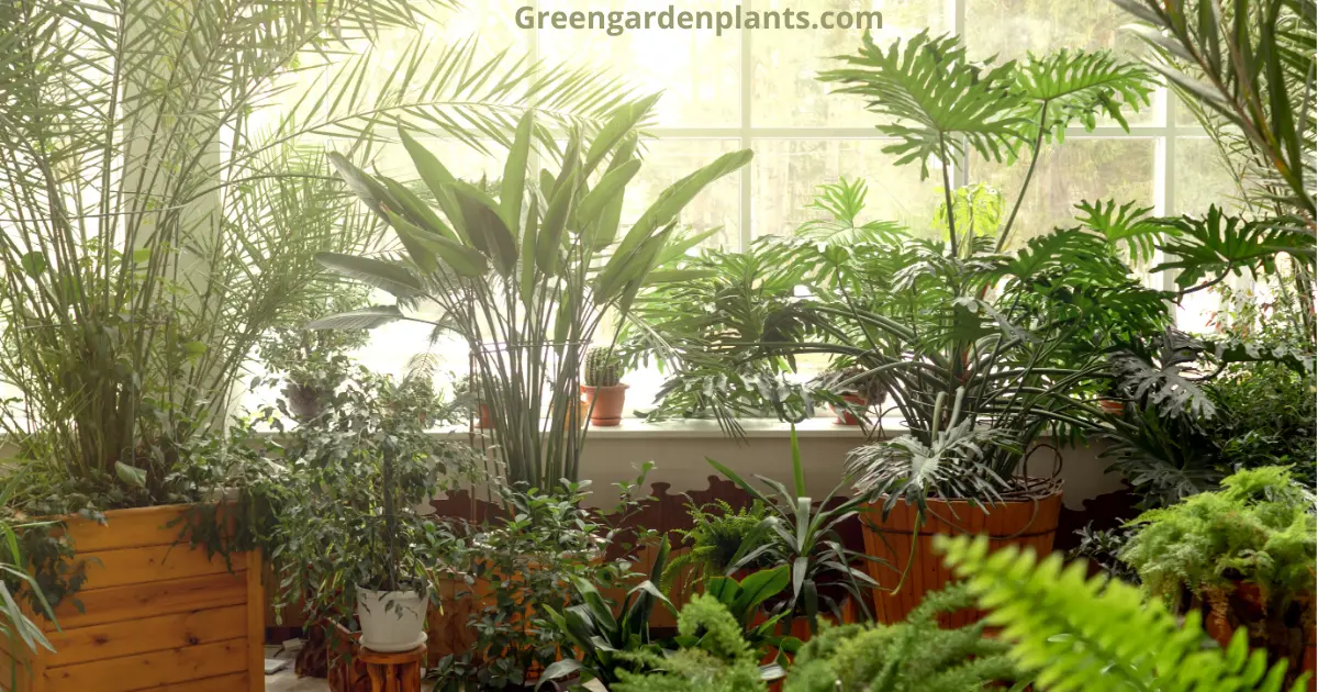 indoor vegetable garden indoor vegetable gardening indoor vegetable