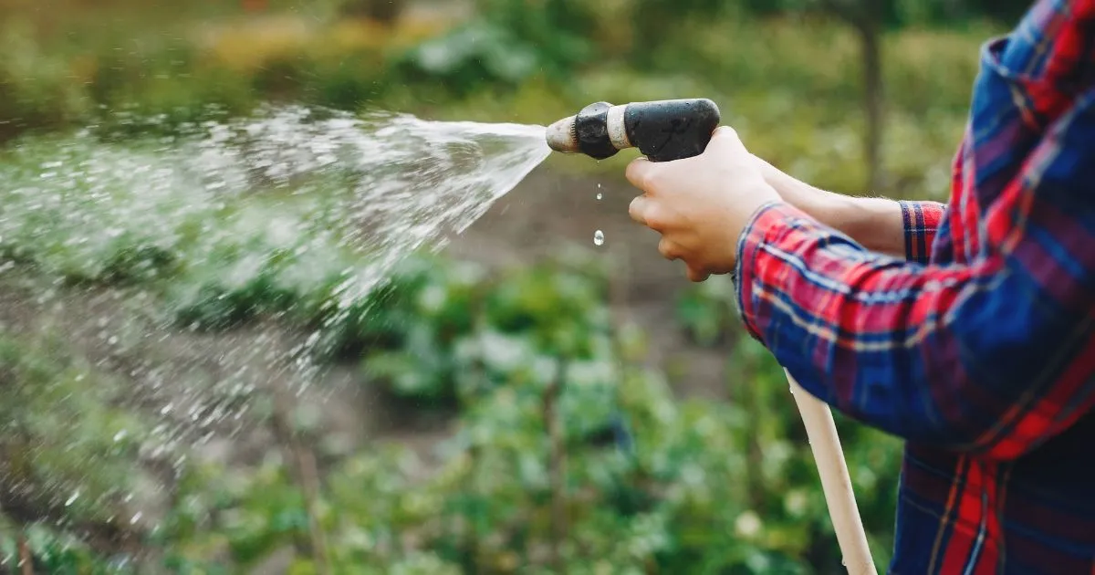 Watering Garden