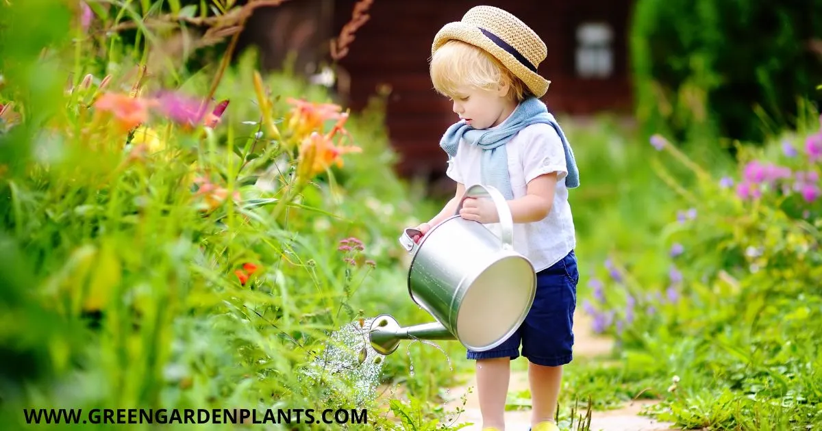 Garden Waterer Drawing